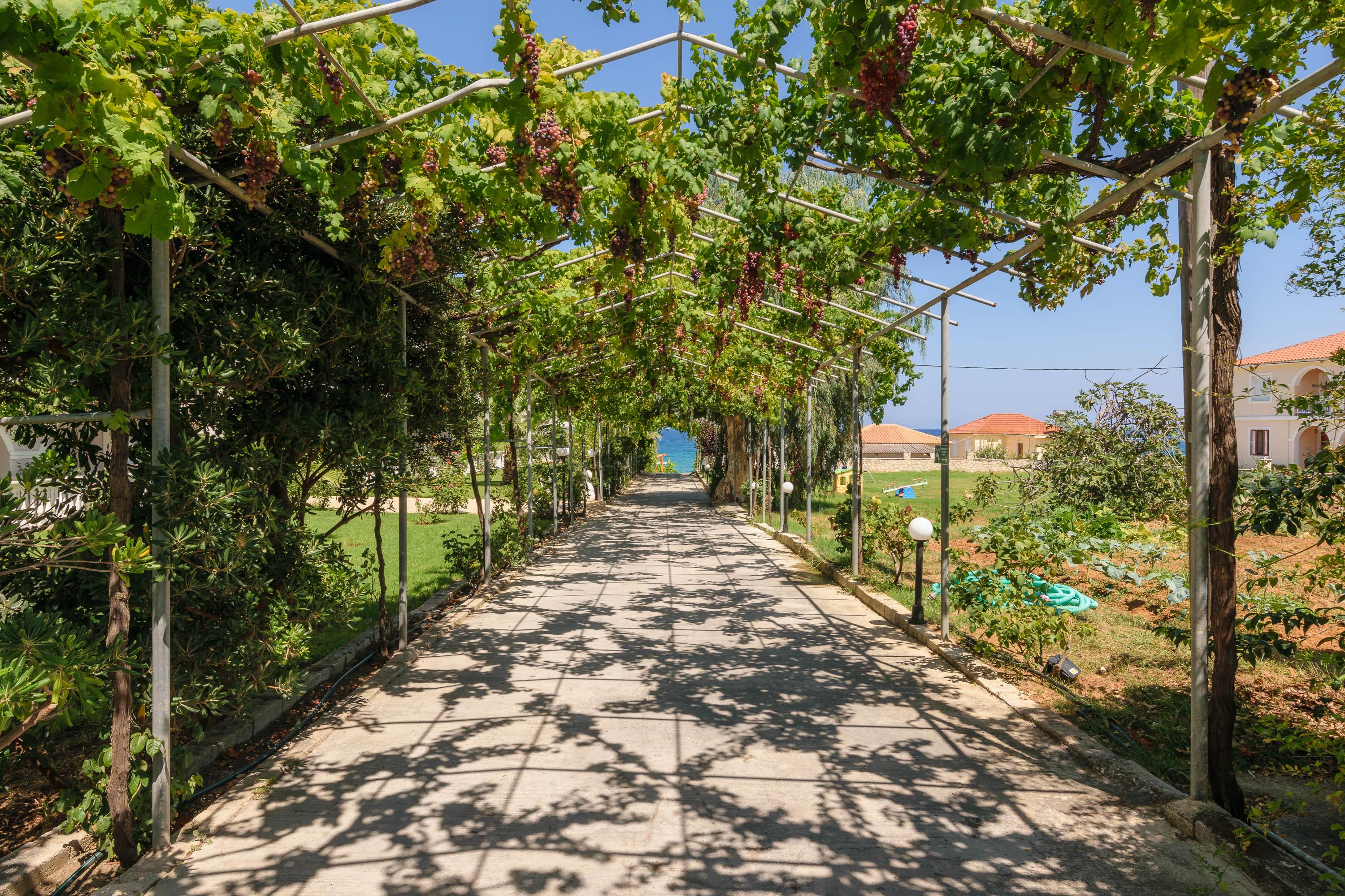 Ξενοδοχείο Belussi & Psarou (Zakynthos)